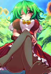 Rule 34 | 1girl, absurdres, ascot, ass, black pantyhose, breasts, crossed legs, feet, flower, foot focus, from below, geo (yukishitadou), green hair, hand on thigh, highres, impossible clothes, impossible shirt, kazami yuuka, large breasts, looking at viewer, one eye closed, pantyhose, plaid, plaid skirt, plaid vest, red eyes, shirt, short hair, sitting, skirt, skirt set, smile, solo, sunflower, touhou, upskirt, vest, wink