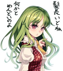 Rule 34 | 1girl, :o, alternate hairstyle, blush, center frills, collar, eyebrows, frilled collar, frilled shirt collar, frills, from side, gorota, green hair, hand in own hair, kazami yuuka, kazami yuuka (pc-98), long hair, looking at viewer, looking to the side, necktie, open clothes, open vest, parted lips, plaid, plaid vest, red eyes, red vest, shirt, solo, tareme, text focus, touhou, touhou (pc-98), translation request, twirling hair, upper body, vest, white shirt, yellow necktie