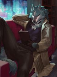 Rule 34 | 1boy, animal ears, animal nose, black gloves, black pants, body fur, book, brand new animal, collar, couch, furry, furry male, gloves, grey fur, highres, holding, holding book, lying, momobeda, ogami shirou, pants, reading, shorts, snout, solo, tail, wolf boy