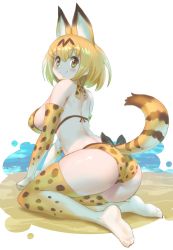 Rule 34 | 10s, 1girl, adapted costume, animal ears, ass, bikini, blush, breasts, cat ears, cat tail, elbow gloves, from side, gloves, highres, kemono friends, large breasts, sagging breasts, sakurai shizuku (mimipull), serval (kemono friends), serval print, serval tail, short hair, simple background, sitting, smile, solo, swimsuit, tail, thighhighs, wariza