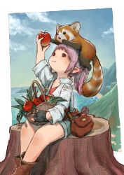 Rule 34 | 1girl, animal, animal on head, ankle boots, apple, arm up, warrior of light (ff14), bag, basket, belt, black gloves, blue jacket, blue shorts, blue sky, boots, border, brown footwear, cam (cammero95713700), cloud, collared jacket, commentary, day, feet out of frame, final fantasy, final fantasy xiv, fingerless gloves, food, from side, fruit, giving, giving food, gloves, head back, highres, holding, holding basket, holding food, holding fruit, horizon, jacket, lalafell, leaf, long sleeves, looking up, medium hair, mountain, ocean, on head, outdoors, outside border, pink hair, pointy ears, ponytail, red eyes, red panda, red shirt, shirt, shorts, shoulder belt, single glove, sitting, sitting on tree stump, sky, smile, solo, tree stump, water, white border