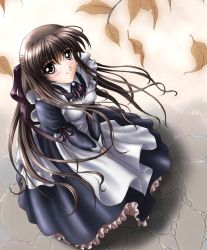 Rule 34 | 1girl, apron, brown eyes, brown hair, cropped, leaf, looking up, maid, maid apron, r&#039;s wallpaper studio, ribbon, solo