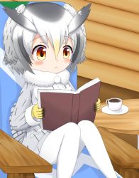 Rule 34 | 1girl, :&lt;, blush, book, brown eyes, closed mouth, coat, coffee, commentary request, cup, feet out of frame, fur-trimmed coat, fur trim, gloves, gradient hair, grey coat, grey hair, hair between eyes, highres, holding, holding book, kemono friends, knees together feet apart, knees up, long sleeves, multicolored hair, northern white-faced owl (kemono friends), open book, pantyhose, saucer, shin01571, sitting, solo, table, white pantyhose, yellow gloves
