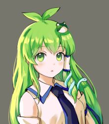 Rule 34 | 1girl, blush, closed mouth, frog hair ornament, green eyes, green hair, grey background, hair between eyes, hair ornament, himuhino, japanese clothes, kochiya sanae, long hair, nontraditional miko, parted lips, portrait, simple background, snake hair ornament, solo, touhou