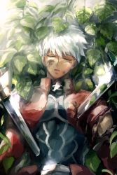 Rule 34 | 1boy, archer (fate), bruise, bush, commentary request, dark skin, dark-skinned male, death, deep wound, closed eyes, fate/stay night, fate (series), injury, leaf, lying, male focus, nui saki, on back, outdoors, plant, solo, sword, tears, torn clothes, weapon, white hair