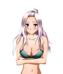 Rule 34 | absurdres, arms under breasts, bikini, breasts, fairy tail, highres, large breasts, mirajane strauss, navel, shy, smile, swimsuit, tagme