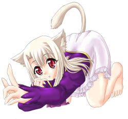 Rule 34 | 00s, 1girl, all fours, animal ears, barefoot, blonde hair, cat ears, cat tail, fate/stay night, fate (series), feet, illyasviel von einzbern, long hair, minazuki noumu, red eyes, simple background, solo, tail, top-down bottom-up