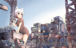 Rule 34 | 1girl, animal ears, backpack, bad id, bad pixiv id, bag, blush, bottle, brown dress, can, cat ears, collarbone, dress, highres, holding, holding can, house, minato nao, original, parted lips, railing, red eyes, short hair, short sleeves, sign, solo, stairs, standing, star (sky), stuffed animal, stuffed rabbit, stuffed toy, sunrise, torn clothes, torn dress, trash bag, white hair