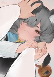 Rule 34 | 1girl, animal ear fluff, animal ears, basket, blue capelet, capelet, commentary request, dutch angle, fingernails, grey hair, grey skirt, grey vest, hair over one eye, headpat, highres, holding hands, holding own arm, long sleeves, mouse (animal), mouse ears, mouse girl, mouse tail, nazrin, pink background, pov, pov hands, red eyes, serakawa, shirt, short hair, signature, skirt, solo focus, tail, tearing up, touhou, vest, wavy mouth, white shirt