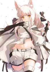 Rule 34 | 1girl, animal ear fluff, animal ears, arknights, black gloves, chess piece, commentary request, gloves, highres, jacket, long hair, midriff, navel, platinum (arknights), queen (chess), rook (chess), short shorts, shorts, silver hair, solo, stomach, taka (0taka), white background, white jacket, white shorts, yellow eyes