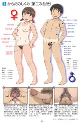 Rule 34 | 1boy, 1girl, anal hair, anus, armpit hair, barefoot, breasts, censored, chart, erection, excessive pubic hair, feet, flaccid, full body, fundarikettari, highres, looking at viewer, male pubic hair, mosaic censoring, nipples, nude, one-piece tan, open mouth, original, partially translated, penis, pubic hair, pussy, sex ed, shadow, short hair, short twintails, small penis, smile, spread pussy, standing, tan, tanline, testicles, text focus, translation request, twintails, white background