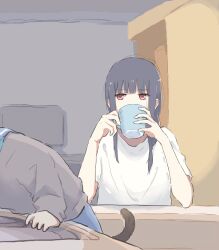 Rule 34 | 2girls, age difference, blue hair, blue skirt, blunt bangs, brown tail, chibi, commentary request, cup, drinking, elbow on table, hair over one eye, hibike! euphonium, highres, holding, holding cup, indoors, kasaki nozomi, kitauji high school uniform, leaning, leaning forward, liz to aoi tori, long hair, long sleeves, looking at another, lyy, multiple girls, parted bangs, red eyes, sailor collar, school uniform, serafuku, shirt, short sleeves, sidelocks, size difference, skirt, standing, tail, television, white shirt, yoroizuka mizore