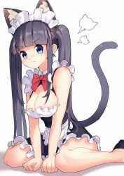 Rule 34 | 1girl, animal ear fluff, animal ears, apron, arms between legs, arukiru, bare arms, bare legs, black footwear, black hair, blue eyes, blunt bangs, blush, bow, bowtie, breasts, cat ears, cat girl, cat tail, cleavage, clenched hands, closed mouth, collared dress, dress, foot out of frame, frilled dress, frills, highres, leaning forward, light blush, long hair, looking at viewer, maid, maid headdress, medium breasts, nose blush, original, pout, red bow, red bowtie, shadow, shoes, short dress, sidelocks, simple background, sitting, sleeveless, sleeveless dress, solo, straight hair, tail, tail raised, twintails, two-tone dress, v-shaped eyebrows, wariza, white apron, white background