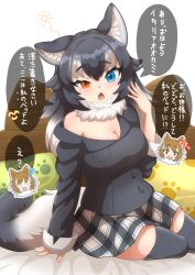 Rule 34 | 2girls, ?, animal ear fluff, animal ears, arm support, bed, black hair, black jacket, black thighhighs, blue eyes, breast pocket, breasts, brown hair, cleavage, commentary request, detached collar, ev (kemomimizuku), eyelashes, fang, fur collar, grey hair, grey wolf (kemono friends), half-closed eye, hand up, heterochromia, highres, italian wolf (kemono friends), jacket, kemono friends, large breasts, leaning to the side, light blush, long hair, long sleeves, looking at viewer, medium breasts, miniskirt, multicolored hair, multiple girls, o o, off shoulder, on bed, open mouth, pillow, plaid, plaid skirt, pocket, red eyes, sitting, skin fang, skirt, sleepy, solo focus, tail, tearing up, thighhighs, translation request, two-tone hair, white hair, wolf ears, wolf girl, wolf tail, zettai ryouiki
