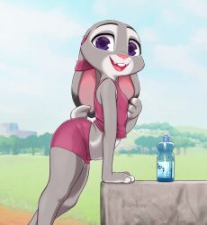 Rule 34 | 1girl, bottle, female focus, furry, furry female, gym shirt, gym shorts, highres, jogging, judy hopps, kionant, looking at viewer, open mouth, purple eyes, rabbit, rabbit ears, rabbit tail, shirt, shorts, water bottle, zootopia
