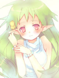 Rule 34 | 1girl, arutopian, blush, bracelet, closed mouth, commentary request, dress, green hair, jewelry, lif (ragnarok online), long hair, looking at viewer, lowres, pointy ears, ragnarok online, red eyes, sleeveless, sleeveless dress, smile, solo, white background, white dress