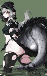 Rule 34 | 1girl, absurdres, ahoge, arknights, ass, bare shoulders, black dress, black hair, black thighhighs, breasts, brown eyes, closed mouth, clothes lift, crocodilian tail, crop top, dress, dress lift, from side, green background, grey hair, highres, hood, hood up, large tail, lifting own clothes, long hair, long sleeves, looking at viewer, looking to the side, medium breasts, multicolored hair, ohtaesik, scales, simple background, solo, streaked hair, tail, thighhighs, tomimi (arknights), torn clothes, torn thighhighs, two-tone hair, wading, water