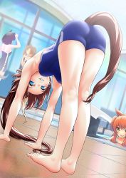 Rule 34 | 4girls, all fours, animal ears, armpits, ass, bare legs, barefoot, blue eyes, blue one-piece swimsuit, blurry, blurry background, blush, breasts, brown hair, character request, commentary request, dutch angle, eyelashes, feet, full body, highres, horse ears, horse girl, horse tail, indoors, kneepits, legs, long hair, looking at viewer, mayano top gun (umamusume), medium breasts, multiple girls, nabe puyo, one-piece swimsuit, open mouth, orange hair, ponytail, poolside, smile, stretching, swimsuit, tail, teeth, thighs, tile floor, tiles, toes, tokai teio (umamusume), twintails, umamusume, upper teeth only, yellow eyes