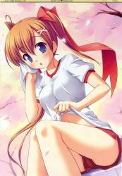 Rule 34 | 1girl, absurdres, backstage, backstage (tjr), blue eyes, brown hair, cherry blossoms, clothes lift, fixed, gym uniform, highres, long hair, mikagami saori, petals, shirt lift, shorts, solo, takoyaki (roast), twintails