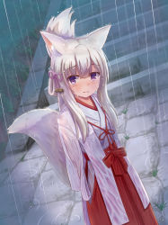 Rule 34 | 1girl, absurdres, animal ear fluff, animal ears, arms behind back, blush, closed mouth, commentary request, crying, crying with eyes open, folded ponytail, fox ears, fox girl, fox tail, hair between eyes, hair ribbon, hakama, hakama skirt, highres, iroha (iroha matsurika), japanese clothes, kimono, long sleeves, looking at viewer, miko, original, outdoors, pink ribbon, purple eyes, rain, red hakama, ribbon, silver hair, skirt, solo, stairs, stone stairs, tail, tears, wet kimono, white kimono