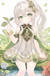 Rule 34 | 1girl, blush, bracelet, braid, bug, butterfly, cape, child, cross-shaped pupils, detached sleeves, dress, genshin impact, gold trim, gradient hair, green butterfly, green cape, green eyes, green hair, green sleeves, highres, insect, jewelry, long hair, multicolored hair, nahida (genshin impact), pointy ears, side braid, side ponytail, sitting, sleeveless, sleeveless dress, smile, solo, symbol-shaped pupils, user famy2743, white dress, white hair