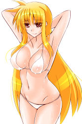 Rule 34 | 1girl, arm behind head, bikini, blonde hair, breasts, commentary request, covered navel, cowboy shot, engo (aquawatery), fate testarossa, groin, halterneck, large breasts, long hair, lyrical nanoha, mahou shoujo lyrical nanoha strikers, red eyes, simple background, solo, string bikini, swimsuit, wet, white background, white bikini