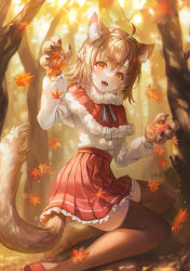 Rule 34 | 1girl, absurdres, animal ears, autumn, autumn leaves, blurry, blurry background, blush, capelet, falling leaves, forest, fur capelet, highres, holding, holding leaf, kneeling, leaf, light, long sleeves, looking at viewer, maple leaf, mirage (rairudiseu), nature, open mouth, orange eyes, original, pleated skirt, red skirt, shirt, skirt, smile, teeth, upper teeth only, white shirt, wolf ears
