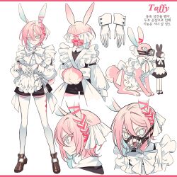 Rule 34 | 1boy, androgynous, animal ears, apron, black shorts, blue eyes, bow, braid, brown footwear, character sheet, closed mouth, colored eyelashes, cropped shoulders, dual persona, eyeliner, frilled apron, frills, full body, gloves, hair between eyes, highres, korean text, loafers, long sleeves, looking at viewer, makeup, male focus, meremero, multiple views, muzzle, open mouth, own hands together, pink eyeliner, pink hair, profile, rabbit, rabbit boy, rabbit ears, rabbit tail, shoes, short hair, shorts, side braid, standing, sugar bunny recipe, taffy (sugar bunny recipe), tail, thighhighs, translation request, white apron, white background, white bow, white gloves, white thighhighs