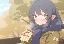Rule 34 | 1girl, :t, akari (raigou), blue hair, blue scarf, blush, breath, brown coat, coat, eating, female focus, food, food on face, holding, holding food, looking at viewer, original, outdoors, pointy ears, ponytail, raigou, scarf, solo, tree, winter clothes, yellow eyes