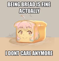 Rule 34 | 1girl, ahoge, blush, bread, brown background, english text, face, food, foodification, hair intakes, i don&#039;t want to be bread (meme), idolmaster, idolmaster cinderella girls, looking away, looking to the side, macro, meme, multicolored hair, objectification, pink eyes, pink hair, psycho orb, short hair, simple background, smile, solo, two-tone hair, typo, what, yumemi riamu