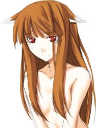 Rule 34 | 00s, 1girl, animal ears, holo, nude, ribi, solo, spice and wolf, wolf ears