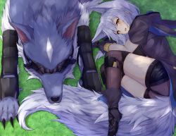 Rule 34 | 1girl, :d, absurdres, animal ears, arknights, black shorts, blush, boots, commentary request, gloves, grass, highres, jacket, large tail, long hair, looking at viewer, lying, on side, open mouth, ponta (velmar), provence (arknights), purple footwear, purple gloves, purple hair, purple jacket, short shorts, short sleeves, shorts, smile, tail, thighhighs, thighs, wolf, wolf ears, wolf tail, yellow eyes