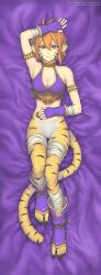 Rule 34 | 1girl, animal ears, breasts, breath of fire, breath of fire ii, bustier, capcom, cat ears, cat tail, cleavage, commentary, dakimakura (medium), facial mark, full body, gloves, gofelem, green eyes, highres, looking at viewer, medium breasts, orange hair, pointy ears, rinpoo chuan, short hair, smile, solo, tail