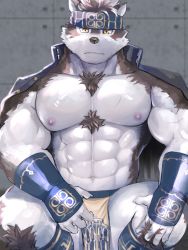 Rule 34 | 1boy, abs, ainu, animal ears, bara, bare pectorals, bulge, chest hair, feet out of frame, fuga9, furry, furry male, grey fur, grey hair, headband, horkeu kamui, jacket, jacket on shoulders, large pectorals, looking at viewer, male focus, muscular, muscular male, navel, nipples, pectorals, pelvic curtain, scar, scar on arm, scar on chest, short hair, solo, squatting, stomach, thighs, tokyo houkago summoners, two-tone fur, vambraces, white fur, wolf boy, wolf ears, yellow eyes