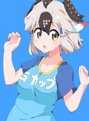 Rule 34 | 1girl, :o, bad id, bad pixiv id, blouse, blue background, blue shirt, breasts, brown hair, cleavage, collarbone, commentary, feather hair ornament, feathers, greater roadrunner (kemono friends), green eyes, grey hair, hair between eyes, hair ornament, hair tubes, hands up, head wings, highres, kemono friends, kemono friends 2, looking at viewer, medium breasts, multicolored hair, open mouth, raglan sleeves, shirt, short sleeves, simple background, solo, t-shirt, takom, translated, upper body, wings