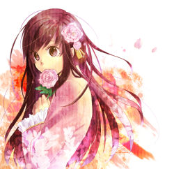 Rule 34 | 1girl, axis powers hetalia, brown eyes, brown hair, covering face, covering own mouth, covering privates, female focus, flower, hair flower, hair ornament, long sleeves, petals, pink flower, pink rose, plant, rose, solo, taiwan (hetalia), vient, white background