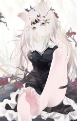 Rule 34 | 1girl, animal ears, archetto (arknights), arknights, bare legs, barefoot, black dress, breasts, ceey, chinese commentary, closed mouth, commentary request, dress, feet, flower, foot out of frame, grey eyes, highres, large breasts, leg up, long hair, looking at viewer, red flower, signature, simple background, sitting, sleeveless, sleeveless dress, soles, solo, strapless, strapless dress, thigh strap, tiara, toes, very long hair, white hair