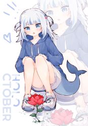 1girl bare_legs blue_eyes blue_hair blue_hoodie blunt_bangs drawstring fins fish_tail flower gawr_gura grey_hair hair_ornament hands_on_own_knees heart highres hololive hololive_english hood hood_down hoodie long_hair long_sleeves ma_draws multicolored_hair open_mouth red_flower shark_girl shark_hair_ornament shark_tail shoes shorts squatting streaked_hair tail two_side_up virtual_youtuber white_footwear white_shorts zoom_layer