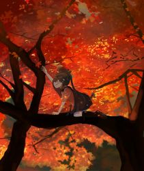 Rule 34 | 10s, 1girl, :d, annin musou, autumn, autumn leaves, bad id, bad twitter id, branch, brown eyes, brown hair, climbing, commentary request, hair ribbon, hakama, hakama skirt, highres, houshou (kancolle), japanese clothes, kantai collection, kimono, leaf, maple leaf, matching hair/eyes, open mouth, outstretched arm, ponytail, ribbon, shoes, sketch, skirt, sleeves rolled up, smile, socks, solo, tongue, tongue out, tree, aged down
