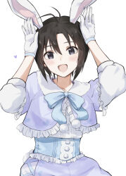 Rule 34 | 1girl, :d, animal ears, antenna hair, black eyes, black hair, blue bow, blue bowtie, blue dress, blush, bow, bowtie, commentary, dress, fake animal ears, fur trim, gloves, hair between eyes, hands on own head, hands up, head tilt, heart, idolmaster, idolmaster (classic), idolmaster 2, idolmaster million live!, idolmaster million live! theater days, kikuchi makoto, looking at viewer, mogskg, open mouth, pom pom (clothes), puffy short sleeves, puffy sleeves, purple dress, rabbit ears, rabbit pose, short hair, short sleeves, simple background, smile, solo, upper body, white background, white dress, white fur, white gloves