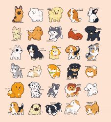 Rule 34 | :3, animal, animal focus, artist name, australian shepherd, ball, basset hound, beagle, bernese mountain dog, border collie, borzoi, bull terrier, bulldog, chibi, chihuahua, chow chow, closed mouth, clothed animal, commentary, dachshund, dalmatian, dog, english commentary, english text, foot up, french bulldog, german shepherd, golden retriever, happy, highres, husky, ida (floofyfluff), isabelle (animal crossing), labrador retriever, looking ahead, looking at viewer, looking back, looking to the side, mouth hold, neckerchief, open mouth, original, pomeranian (dog), poodle, pug, puppy, rottweiler, samoyed (dog), schnauzer, shetland sheepdog, shiba inu, shih tzu, sitting, smile, spaniel (dog), sploot, tail raised, tongue, tongue out, welsh corgi