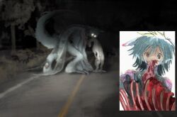 1other animal_ears blood blood_on_face blurry claws coat dark dead_animal deer eating glowing glowing_eyes grey_hair monster mouth_hold moyancucurry night original outdoors ribs road short_hair tail white_coat wolf_ears wolf_tail