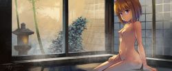 Rule 34 | 1girl, bamboo, bathing, breasts, brown hair, bush, collarbone, commentary request, completely nude, expressionless, fence, highres, indoors, kouno hikaru, lantern, looking at viewer, navel, nipples, nude, onsen, original, purple eyes, ryokan, short hair, signature, sitting, small breasts, solo, steam, window