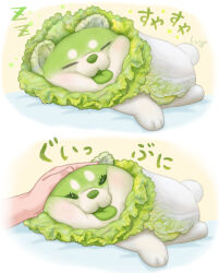 Rule 34 | animal focus, closed eyes, colored tongue, dog, green theme, green tongue, half-closed eyes, hand on another&#039;s head, highres, lying, multiple views, napa cabbage, on side, original, out of frame, oyasai yousei to manabu yasai no chishiki zukan, petting, ponkichi (ponkichim), pressing, puppy, sleeping, tongue, tongue out, zzz