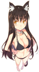 Rule 34 | 1girl, animal ears, bad id, bad pixiv id, bell, neck bell, bikini, black bikini, black hair, breasts, brown eyes, cat ears, cat tail, cleavage, collar, collarbone, foreshortening, from above, full body, hands on own hips, kimura (ykimu), large breasts, long hair, looking at viewer, navel, original, side-tie bikini bottom, simple background, slit pupils, solo, standing, swimsuit, tail