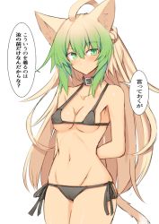 Rule 34 | 1girl, ahoge, animal ears, atalanta (fate), bare shoulders, bikini, black bikini, black collar, blonde hair, blush, breasts, cameltoe, cat ears, collar, collarbone, commentary request, covered erect nipples, fate/apocrypha, fate (series), green eyes, green hair, long hair, looking at viewer, multicolored hair, nahu, simple background, solo, swimsuit, tail, translation request, white background