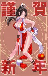 1girl breasts fatal_fury large_breasts long_hair ponytail shiranui_mai