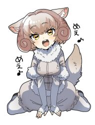 Rule 34 | 1girl, beige coat, beige shorts, blush, bunngaku mayuge, coat, commentary request, elbow gloves, fingerless gloves, fur collar, fur trim, gloves, highres, horns, kemono friends, looking at viewer, multicolored hair, open mouth, pantyhose, puffy shorts, sheep (kemono friends), sheep girl, sheep horns, sheep tail, short hair, short sleeves, shorts, sitting, solo, tail, translation request, white fur, white gloves, white hair, white pantyhose