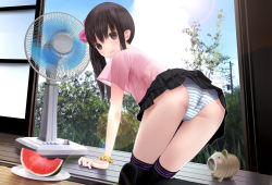 Rule 34 | 1girl, all fours, ass, bad id, black hair, blush, brown eyes, chikuwa (glossymmmk), chikuwa (odennabe), clothes lift, cloud, cloudy sky, day, dutch angle, electric fan, fanning self, food, from behind, fruit, hair ornament, hair scrunchie, indoors, kayari buta, kneeling, looking at viewer, looking back, original, over-kneehighs, panties, plate, scrunchie, see-through, see-through silhouette, short sleeves, side ponytail, skirt, skirt lift, sky, solo, striped clothes, striped panties, thighhighs, tree, underwear, upskirt, watermelon