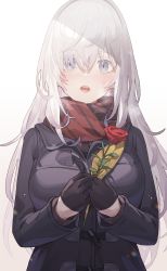 Rule 34 | 1girl, black gloves, blush, breasts, coat, flower, gloves, grey eyes, highres, long hair, looking at viewer, narumi arata, open mouth, original, rose, scarf, sharp teeth, silver hair, simple background, solo, sweatdrop, teeth, valentine, white background, winter clothes, winter coat